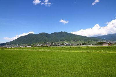 🍎出展市町村一覧🍎