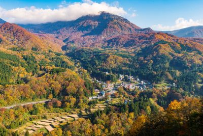 🍎出展市町村一覧🍎