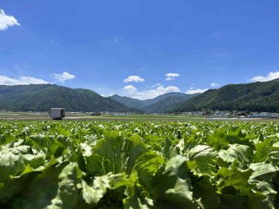 🍎出展市町村一覧🍎