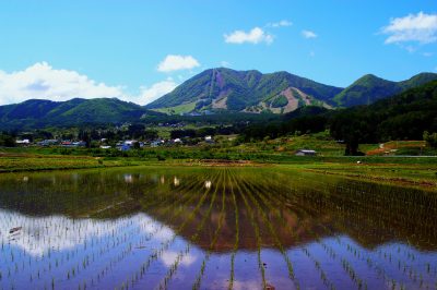 🍎出展市町村一覧🍎