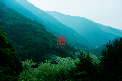 🍎出展企業一覧🍎