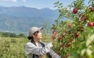 🍎関係団体一覧🍎