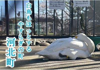 河北町