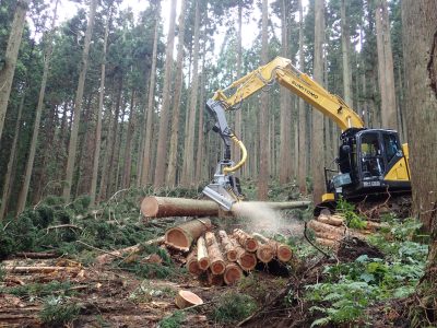 山形県林業労働力確保支援センター | しごと（農林漁業）